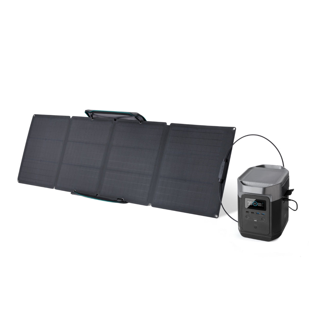 EcoFlow DELTA 1000 + 110W Solar Panel