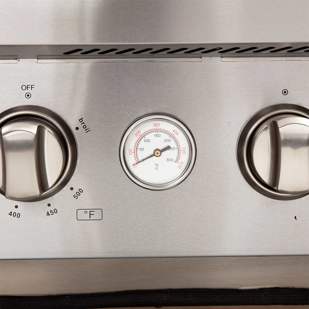 Forno 48" Alta Qualita Gas Range with Air Fryer, 8 Gas Burners, Gas Oven, Temperature Gauge, Griddle, in Stainless Steel (FFSGS6291-48)