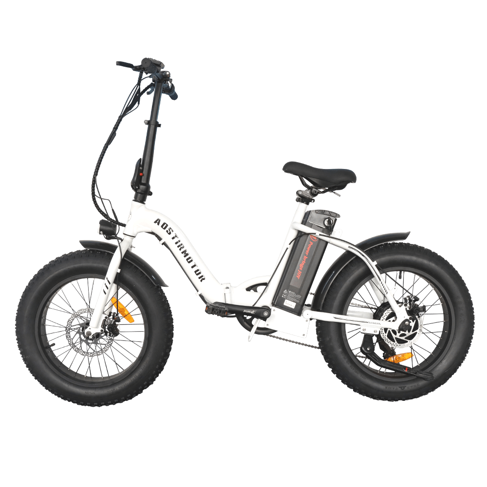 Aostirmotor | 500W Low Step Fat Tire | G20