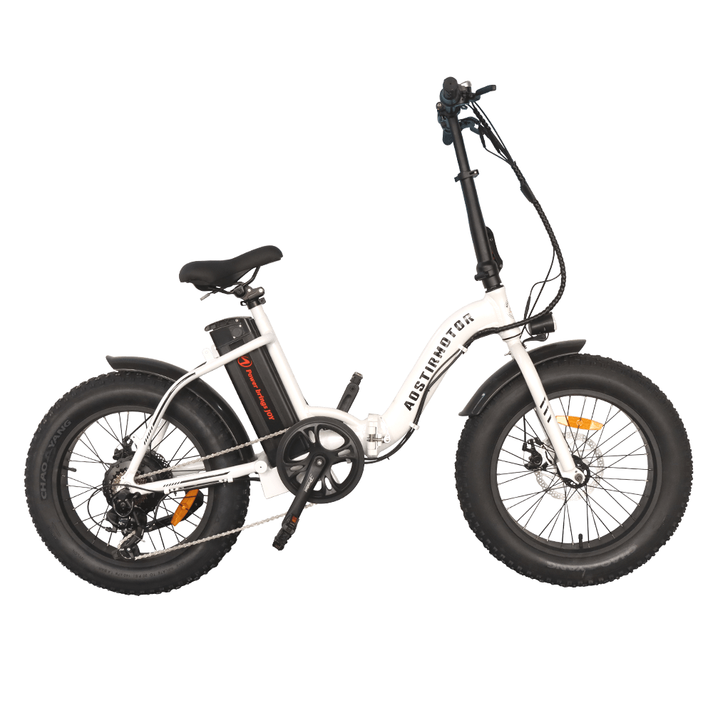 Aostirmotor | 500W Low Step Fat Tire | G20