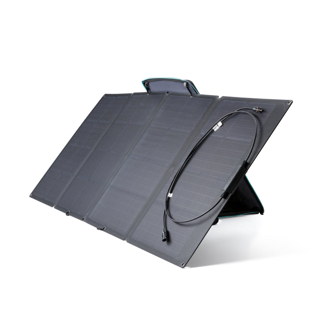 EcoFlow DELTA 1000 + 110W Solar Panel