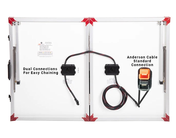 Lion Energy | 100W 12V Panel