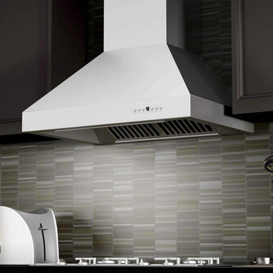 ZLINE 30-Inch Convertible Outdoor Wall Mount Range Hood in Outdoor Approved Stainless Steel (667-304-30)