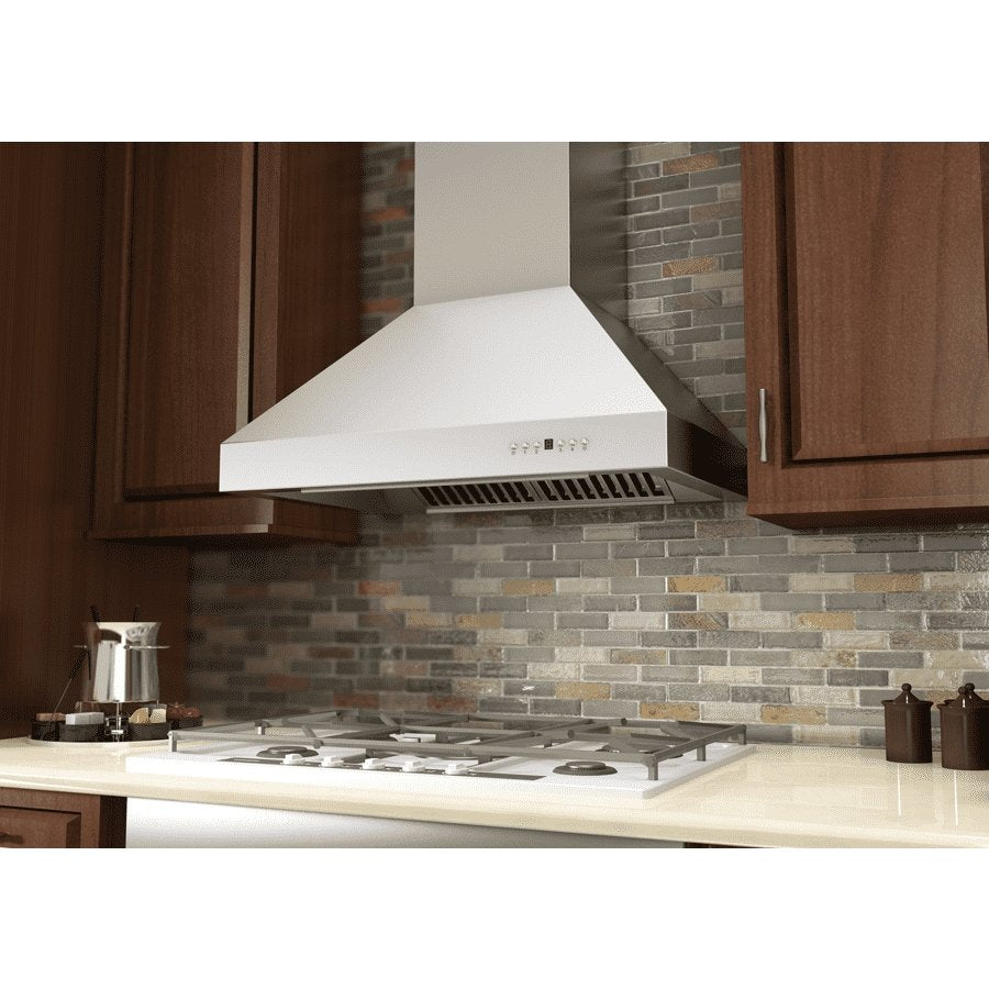 ZLINE 30-Inch Convertible Outdoor Wall Mount Range Hood in Outdoor Approved Stainless Steel (667-304-30)